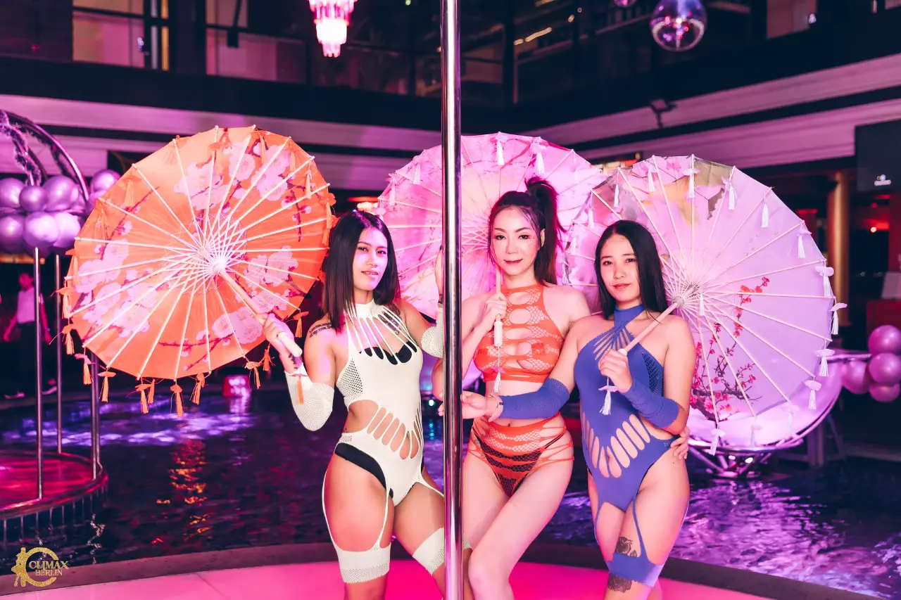 Live Shows - Image 9